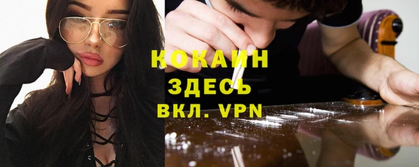 сатива Бронницы