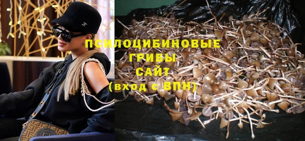 мдпв Богданович