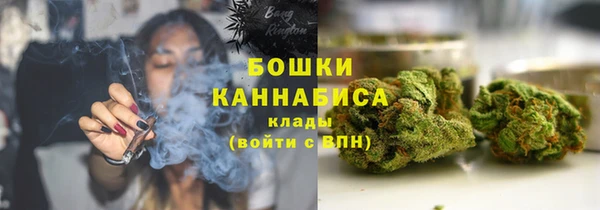 мдпв Богородицк