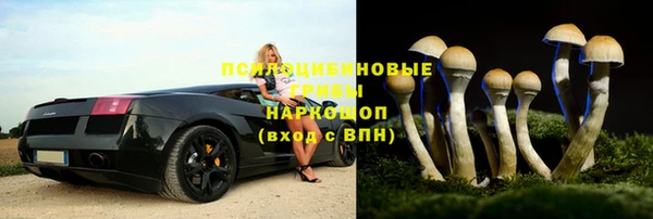 сатива Бронницы