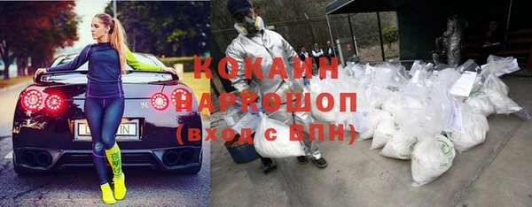 мдпв Богородицк