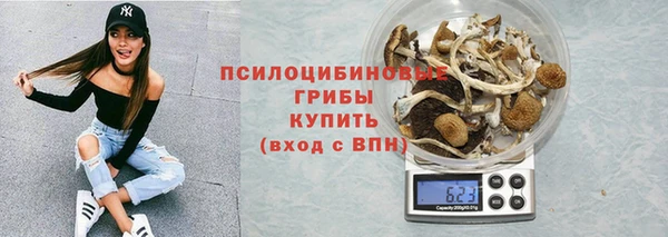 мдпв Богородицк