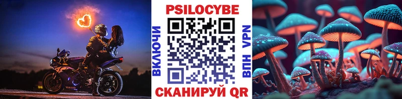 Псилоцибиновые грибы прущие грибы  Купить  Ряжск 